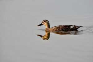 no matter the size of the business