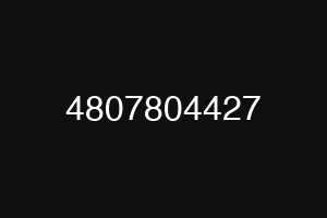4807804427