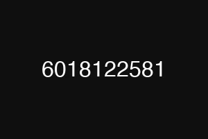 6018122581