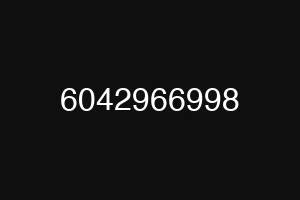 6042966998