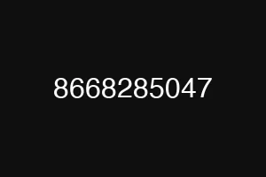 8668285047