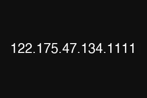 122.175.47.134.1111