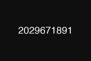 2029671891