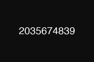 2035674839