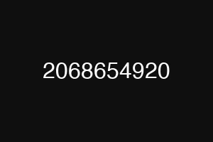 2068654920