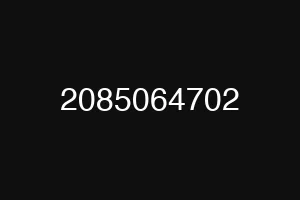2085064702