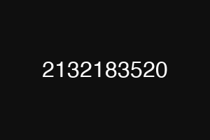 2132183520