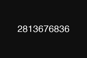 2813676836