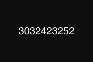 3032423252