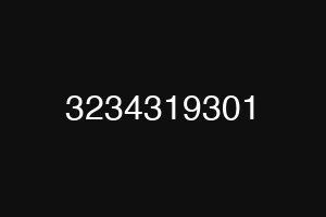 3234319301