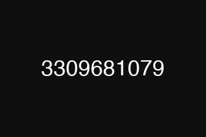 3309681079