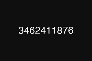 3462411876