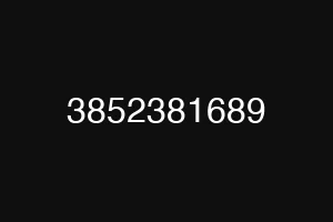 3852381689