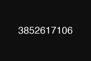 3852617106