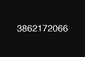 3862172066