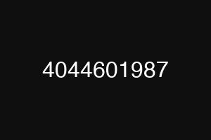 4044601987