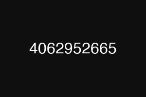4062952665