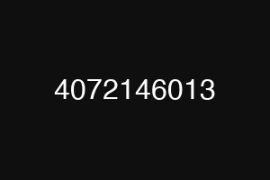 4072146013