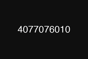 4077076010
