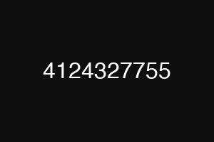 4124327755