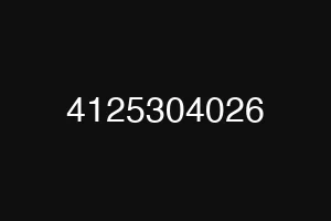 4125304026