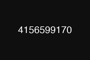 4156599170