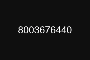 8003676440
