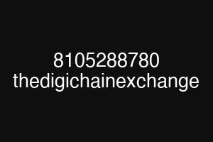 8105288780 thedigichainexchange